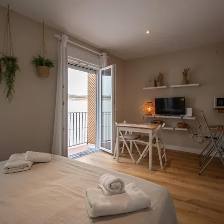 El Estudio De La Rosa Apartment